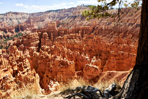 USA Bryce Canyon<br>NIKON D4, 32 mm, 140 ISO,  1/320 sec,  f : 7.1 , Distance : 20 m